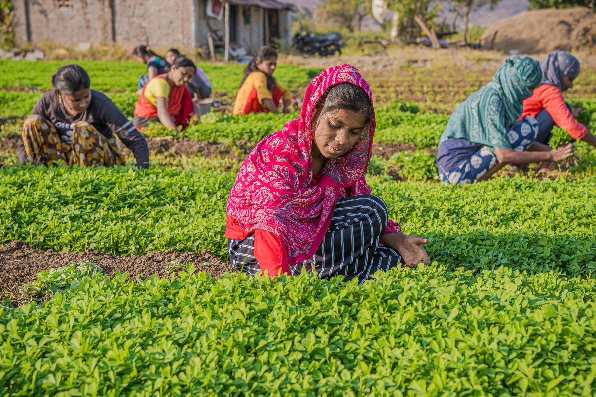 World Rural Development Day: Growing Sustainable Futures from the Ground Up