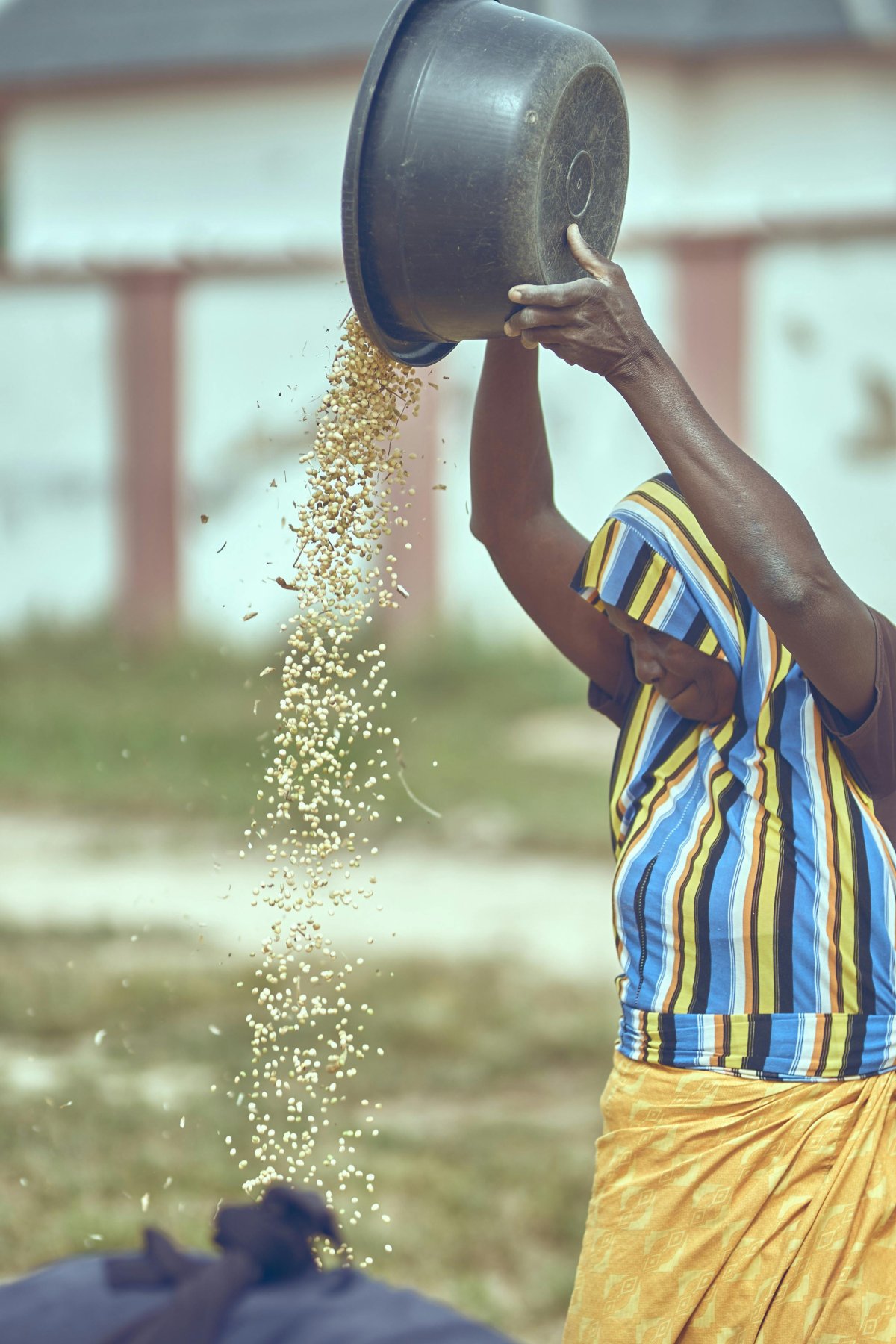 Empowering Women, Growing the Future: Celebrating International Women’s Day
