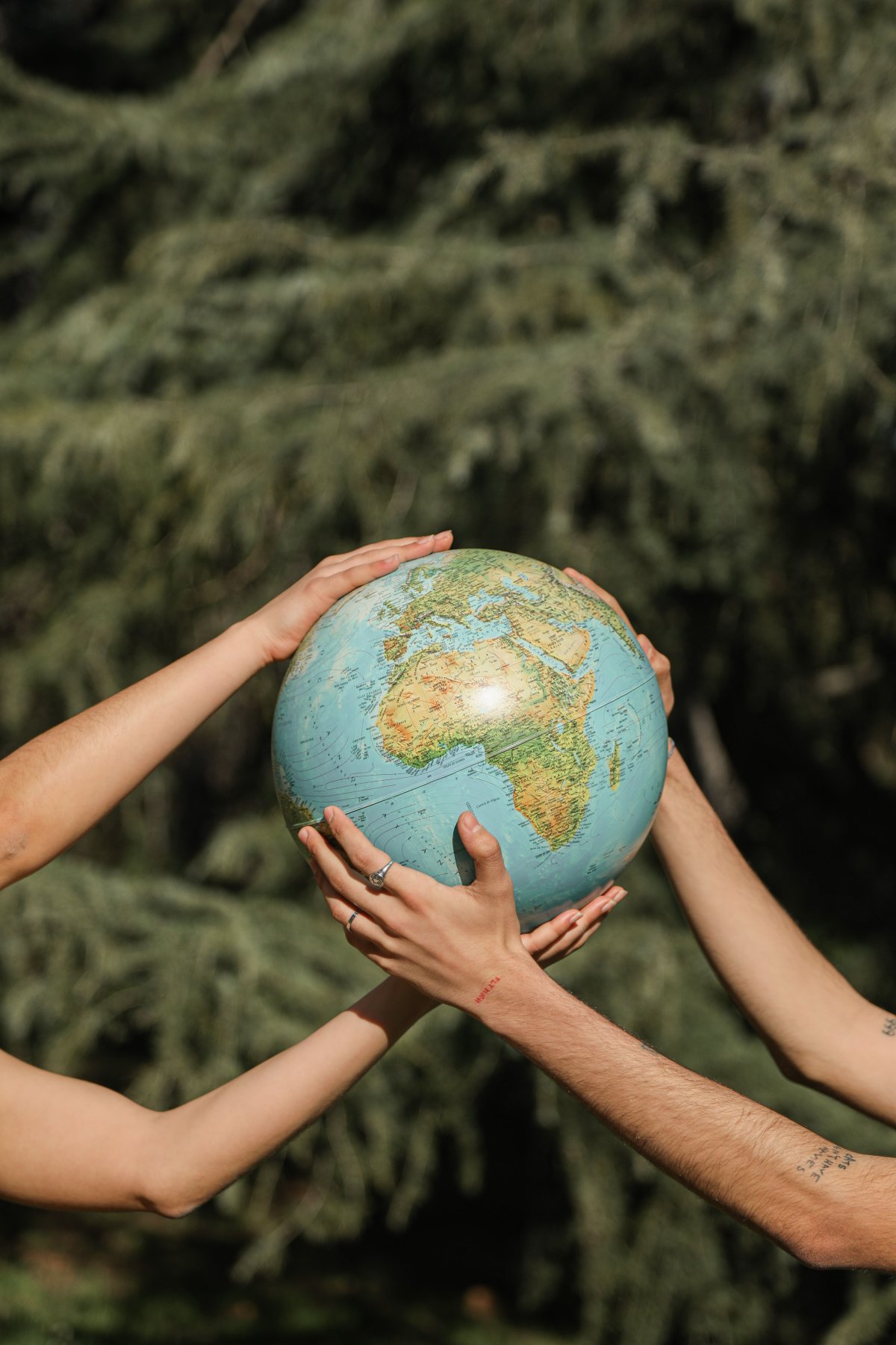 World Environment Day 2026 