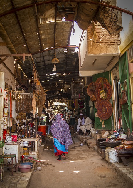 Food Security in Sudan Navigating Conflict, Climate, and Crisis